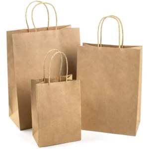 Lot de 20 Sacs en papier kraft avec poignées